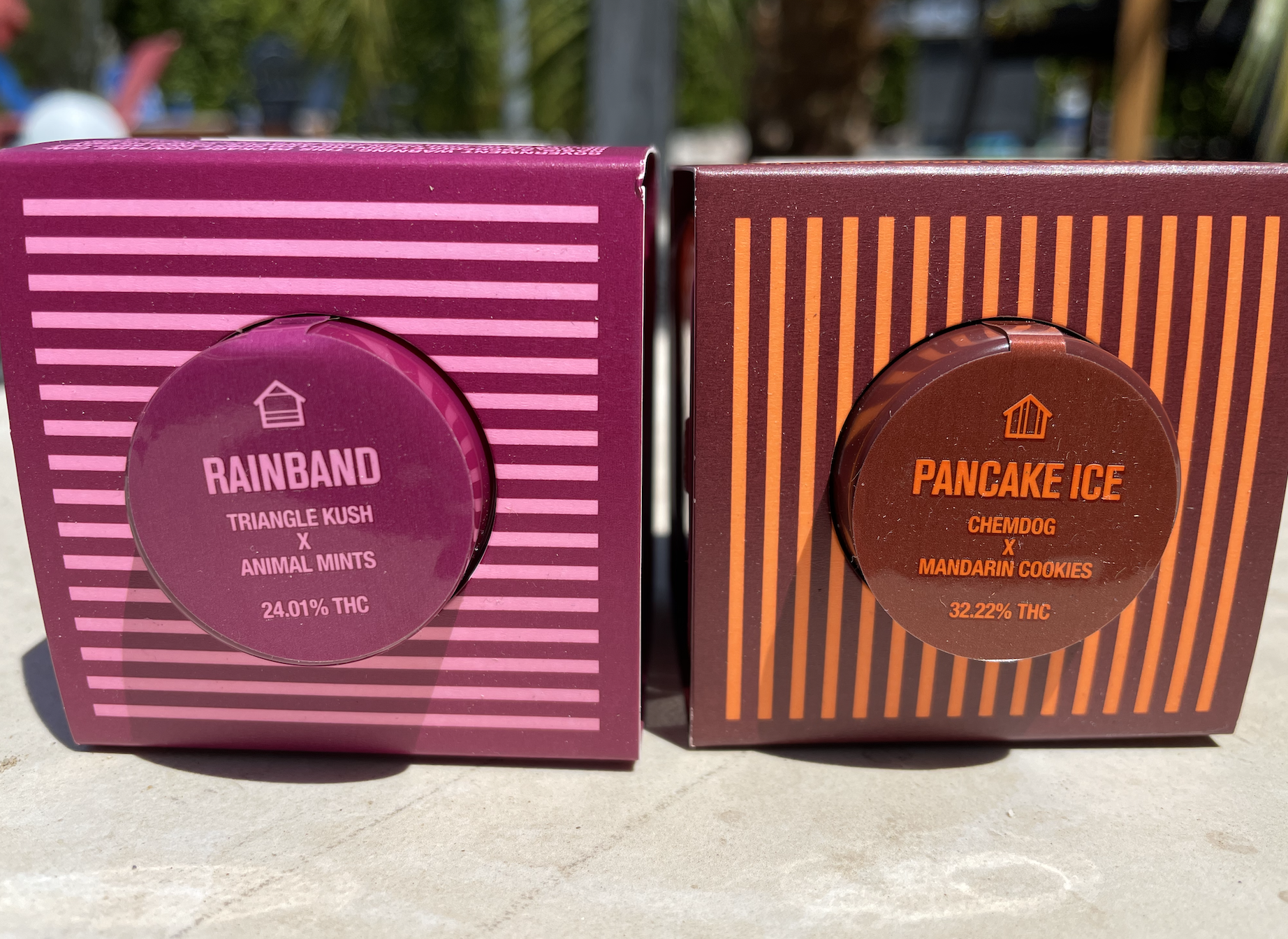 A side-by-side image of the two strains; Rainband and Pancake Ice