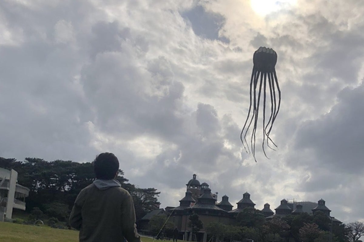 まるで映画のワンシーン 宙に浮く未確認生物降臨の写真が拡散した