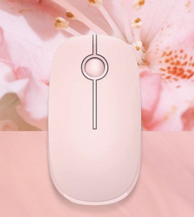the mouse on a pink background