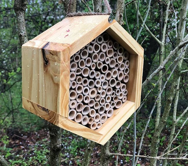 a reviewer photo of a wooden hexagon with many round crevices for bees hanging from a tree