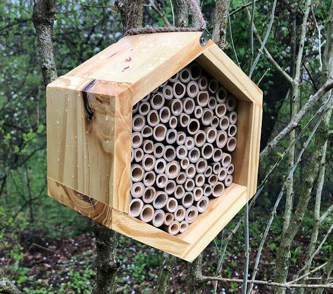a reviewer photo of a wooden hexagon with many round crevices for bees hanging from a tree