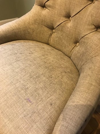 reviewer before image: a beige sofa covered in dark animal hair