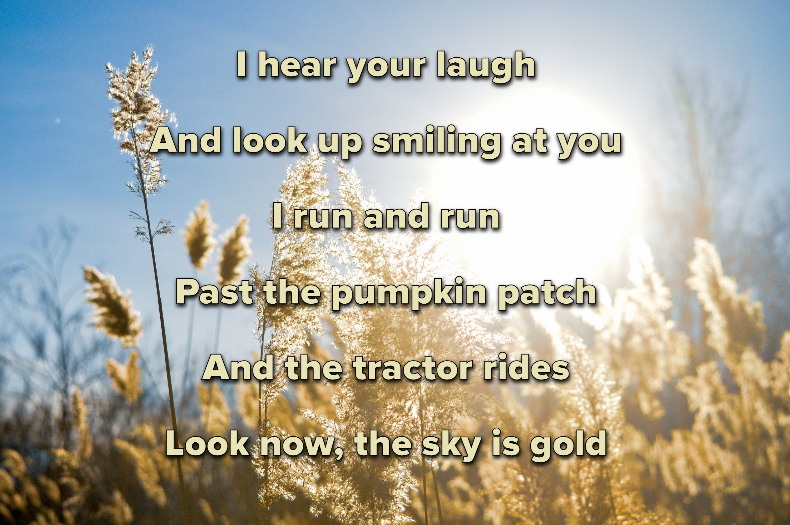 Photo of a wheat field with lyrics from &quot;The Best Day&quot; by Taylor Swift written in text