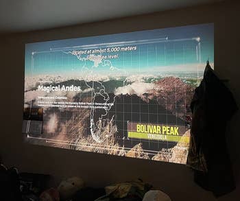 a reviewer's netflix playing on a wall via the projector