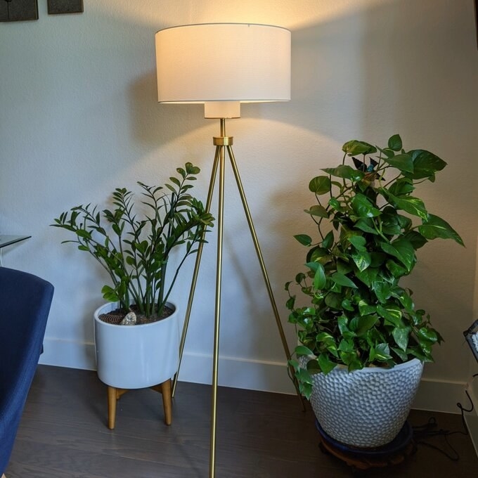 The lamp, which has three brass legs that meet together at the top, beneath a white drum shade