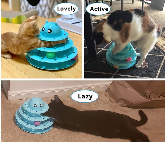Cats enjoying the blue three-level cat toy