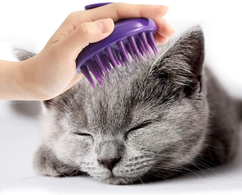 The cat massage brush