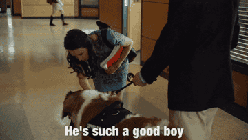 A woman petting a service dog 