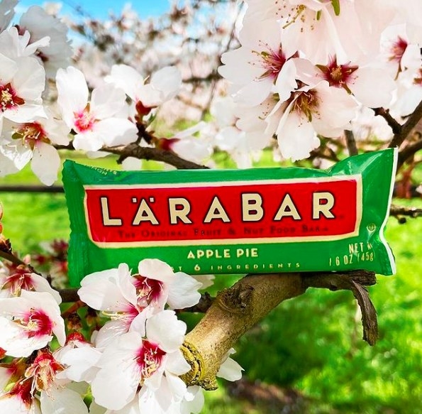 The apple pie Larabar perched on a branch of a blooming white and pink flowered tree