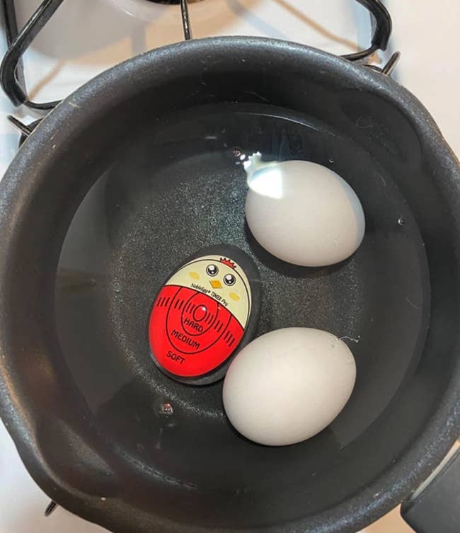 reviewer's timer sitting in pot with two eggs boiling