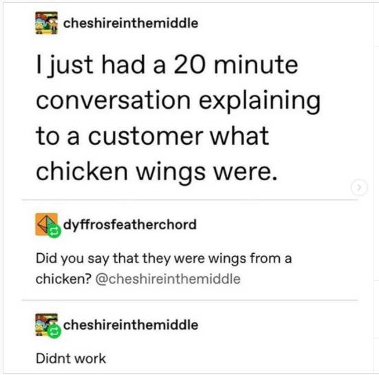 tumblr post about someone who had to explain what wings are