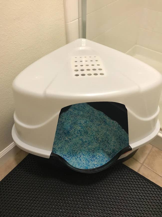 reviewer image of a kitty litter box filled with the blue crystals