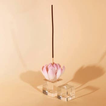 the lotus flower holding an incense stick