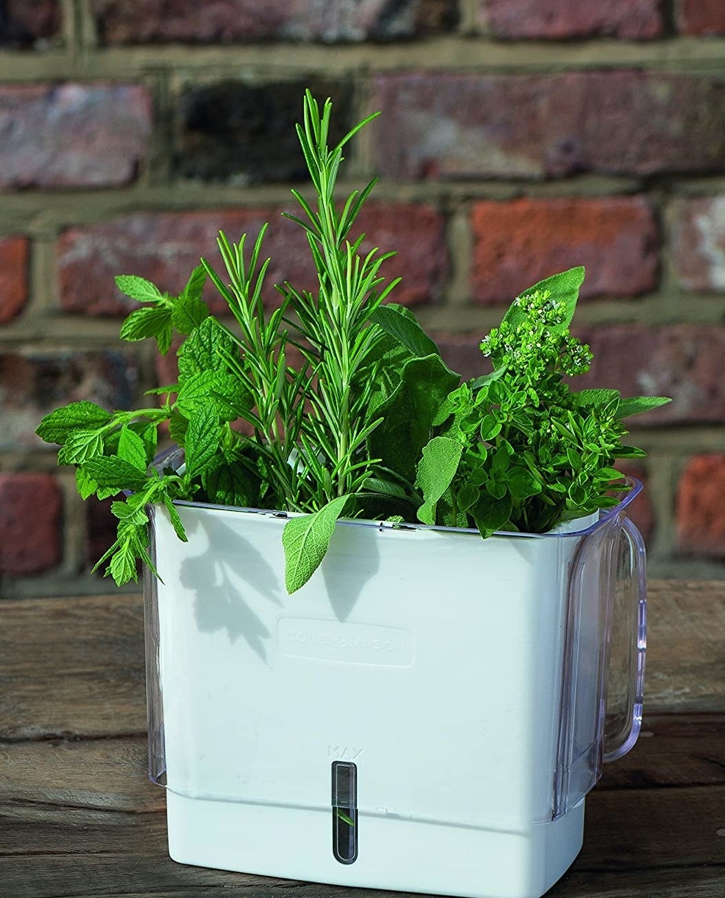 herbs in the herb keeper