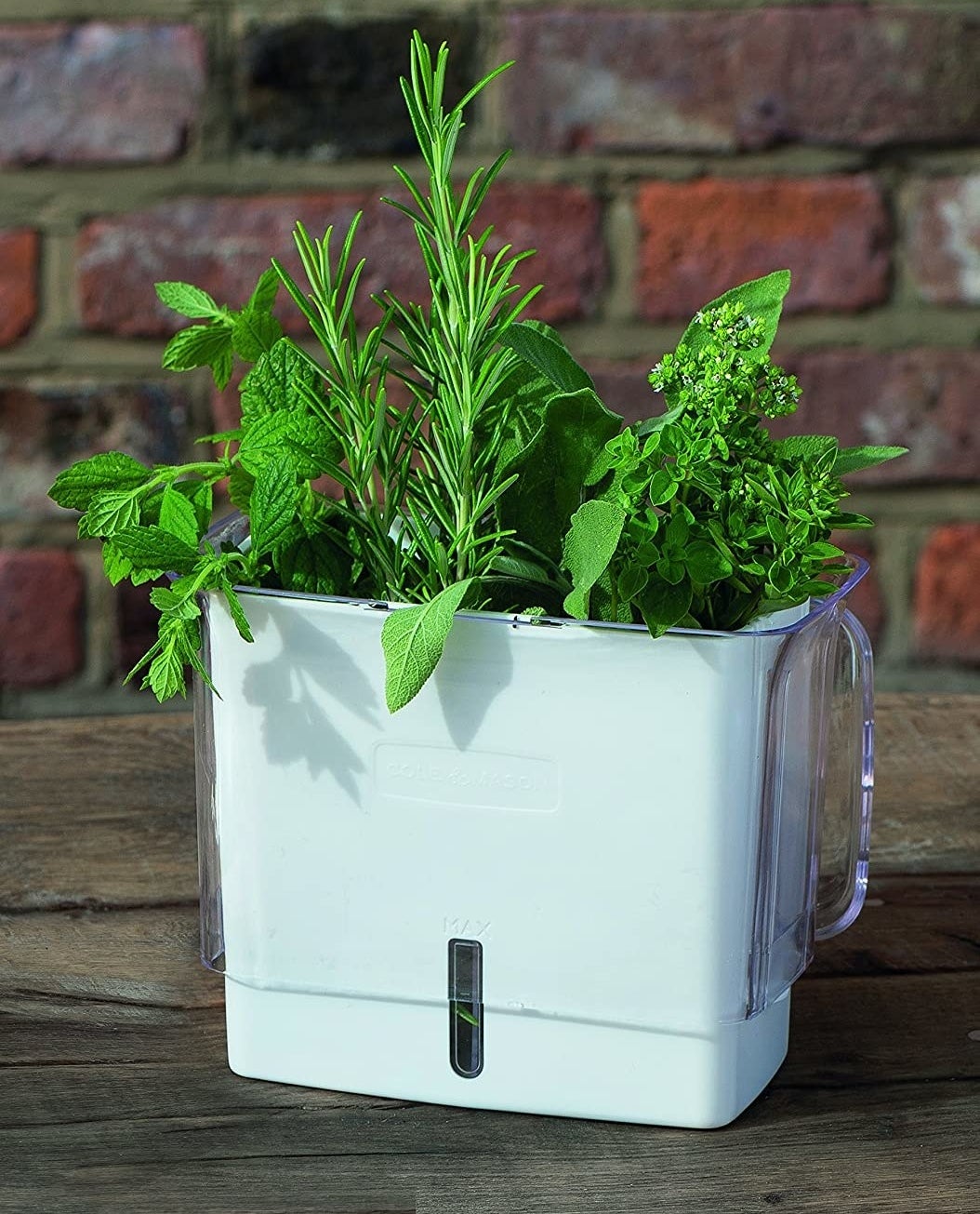 herbs in the herb keeper