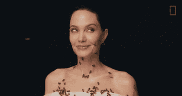 Angelina Jolie Got Covered In Bees For World Bee Day Angelina Jolie Got Covered In Bees For World Bee Day