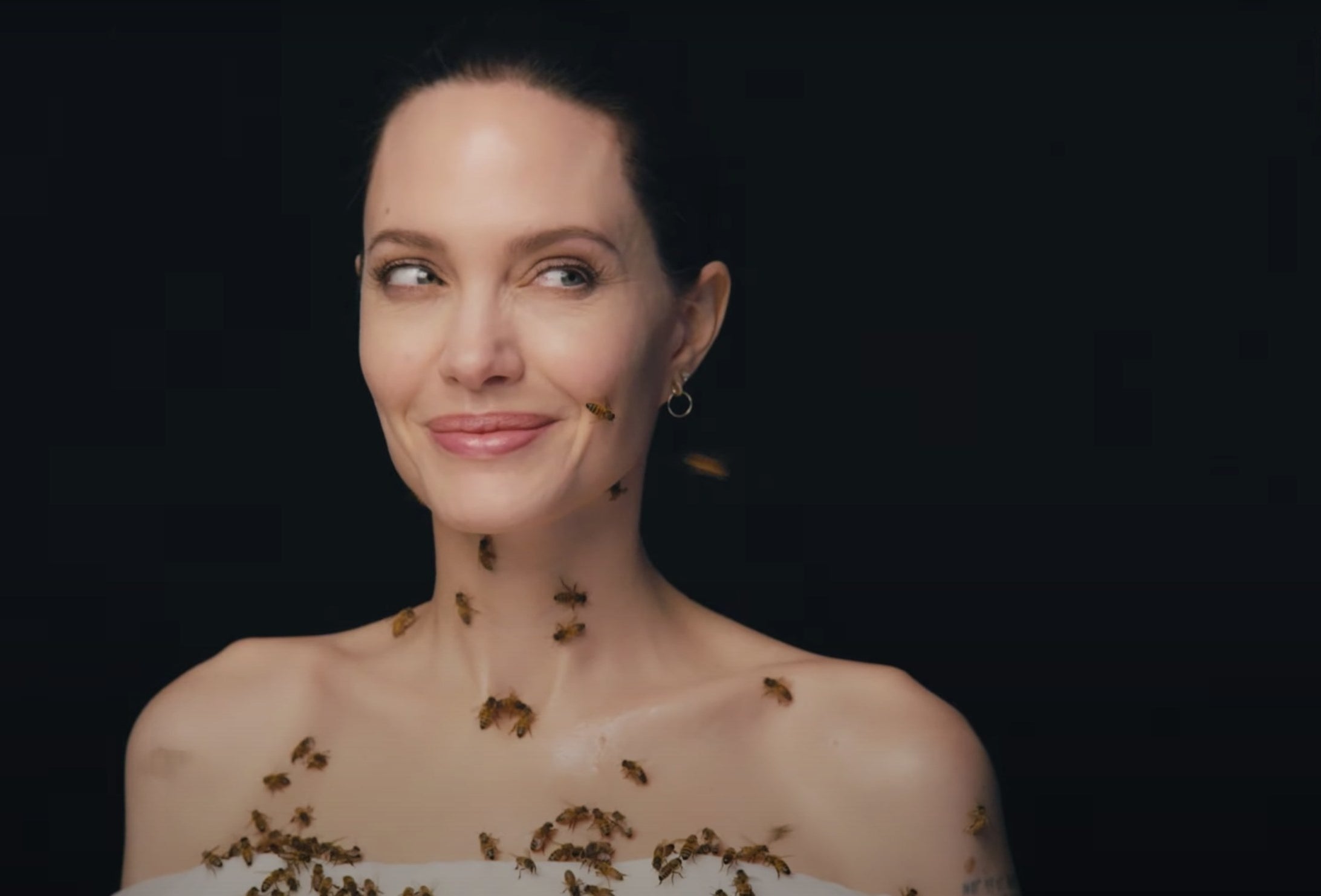 Angelina Jolie Got Covered In Bees For World Bee Day