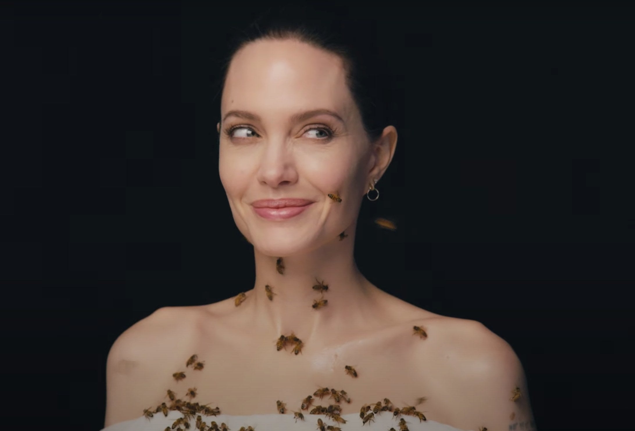Angelina Jolie Got Covered In Bees For World Bee Day Angelina Jolie Got Covered In Bees For World Bee Day