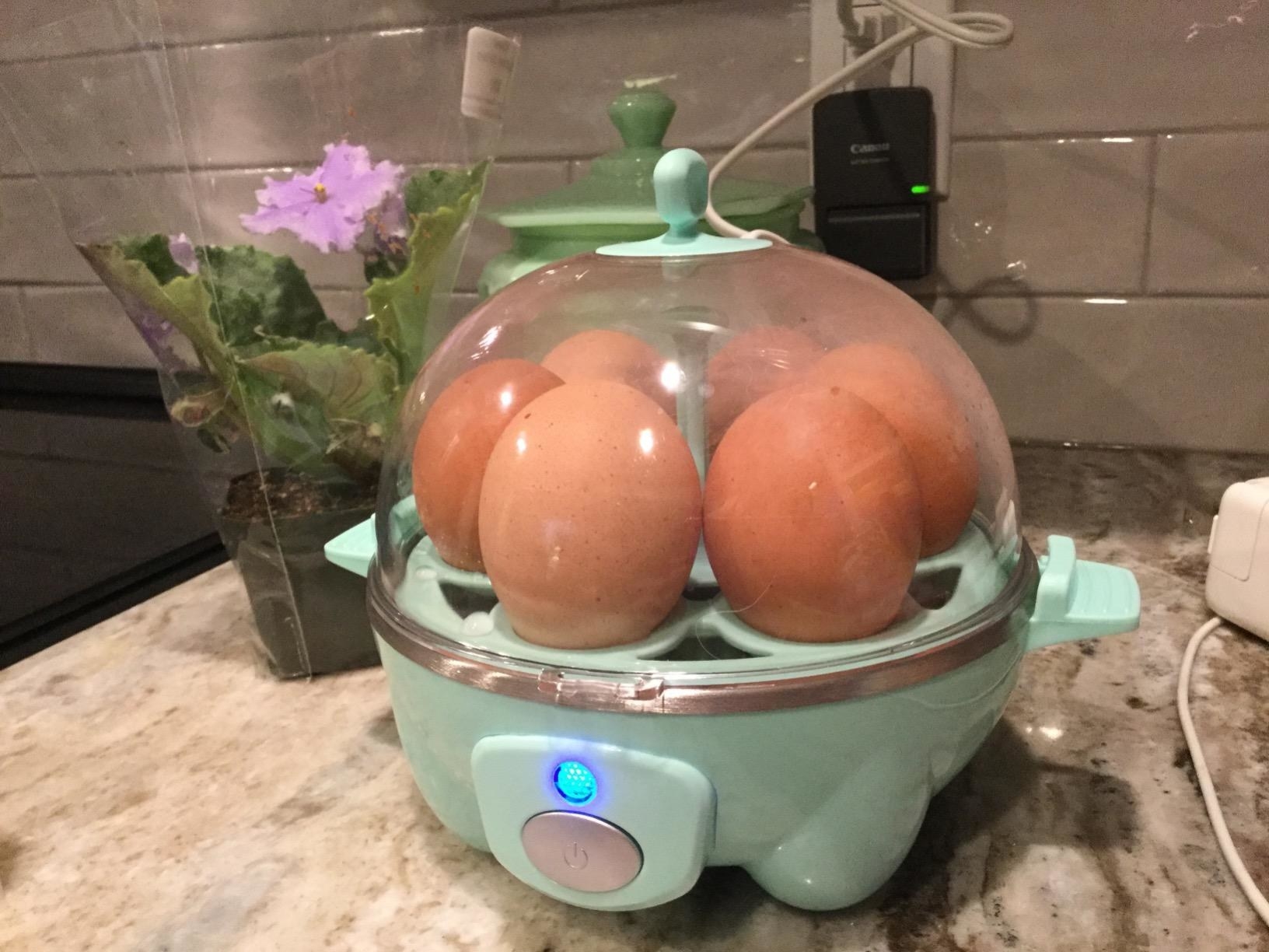 The product in teal, making eggs