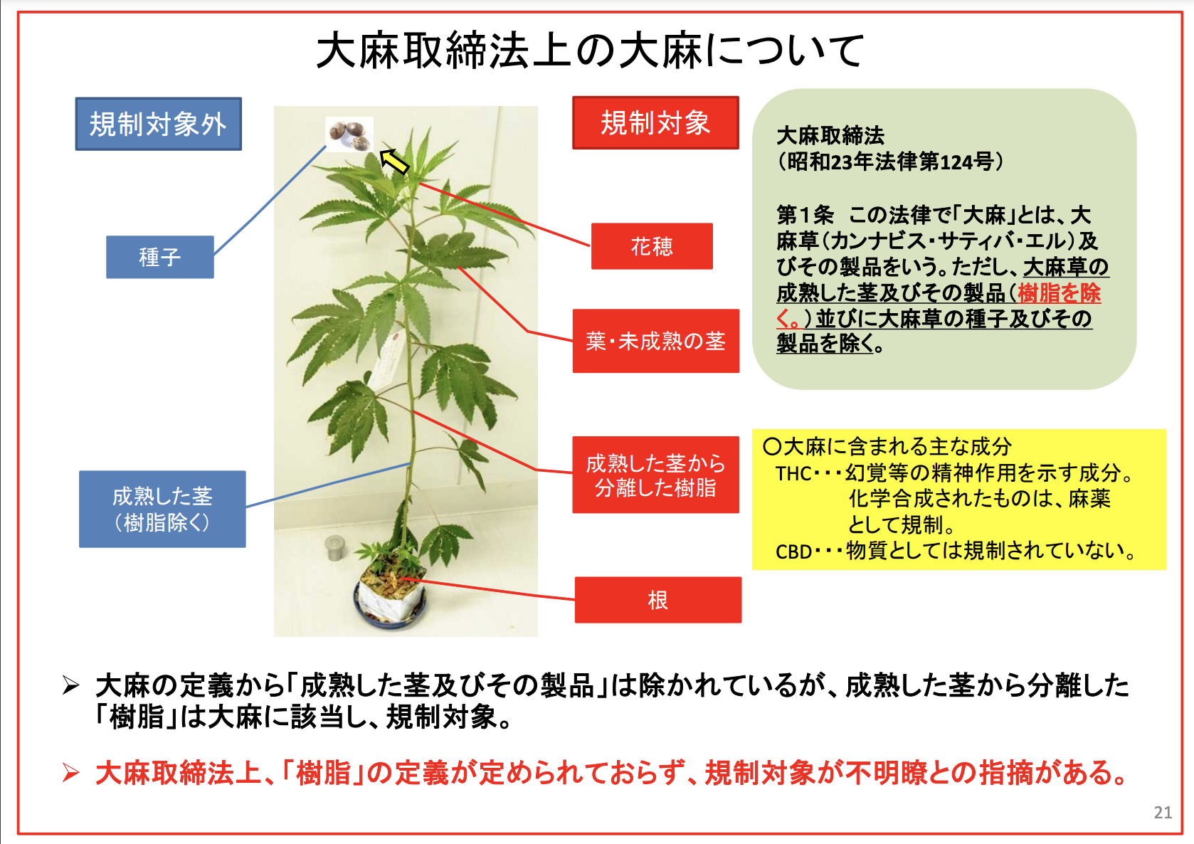 日本でも医療用大麻を適切に使えるようにして 海外で使える薬で日本の患者が救えない理由