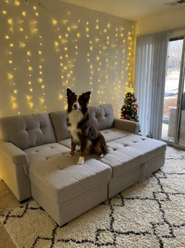 25 Amazon Couches And Sofas With Positive Reviews