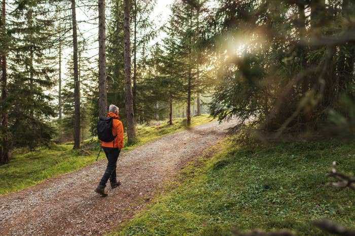 Photo of a guy in an orange jacket walking through the woods 