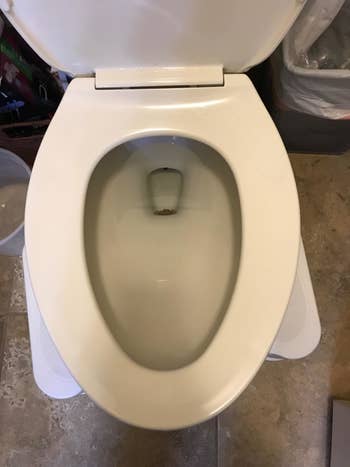 a reviewer photo of a clean toilet after using a pumice stone cleaner