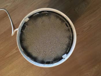 reviewer photo of the top of a levoit air purifier opened up and revealing lots of dust and particles