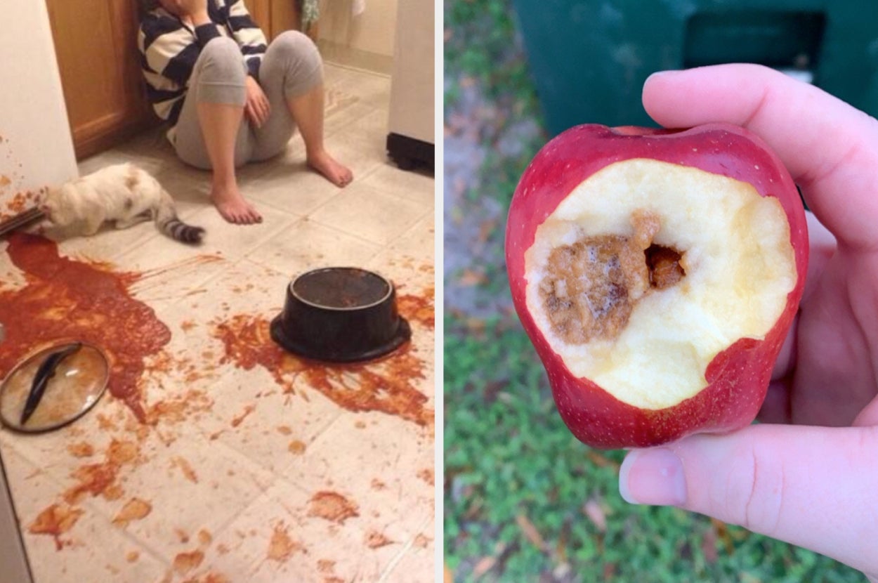 An apple with worm larvae in it