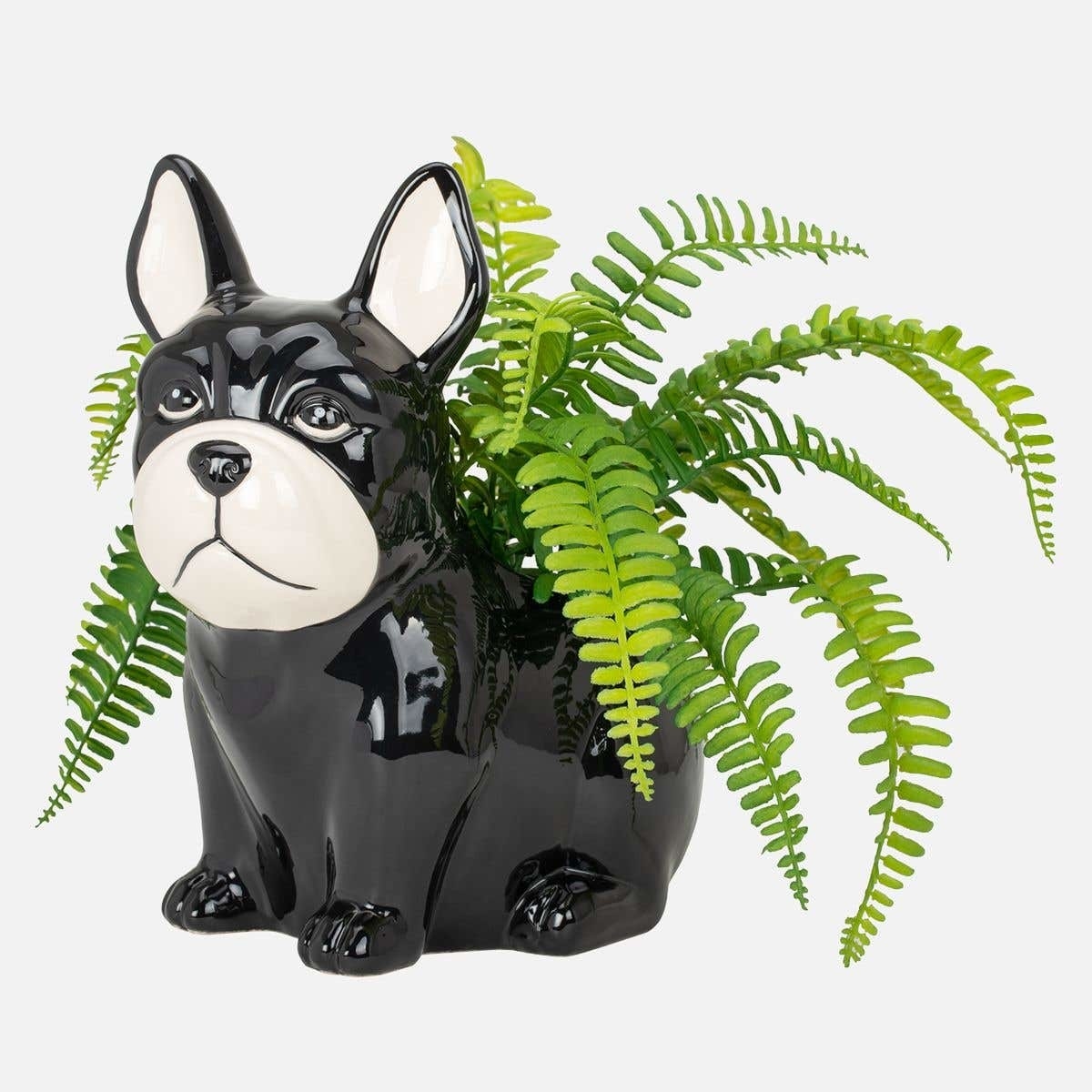 A ceramic plant pot in the shape of a small dog
