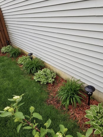 before using the border edger