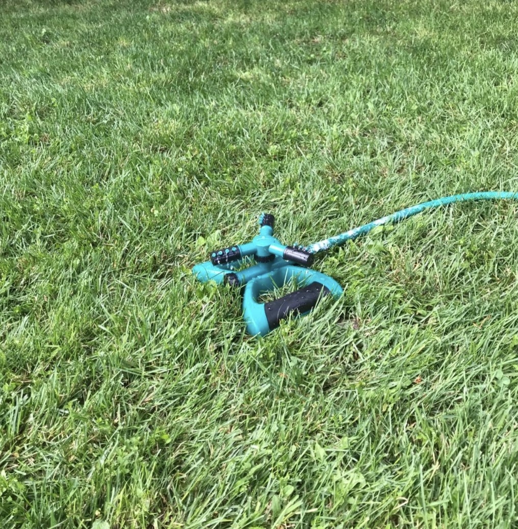 a lawn sprinkler in on a grassy lawn