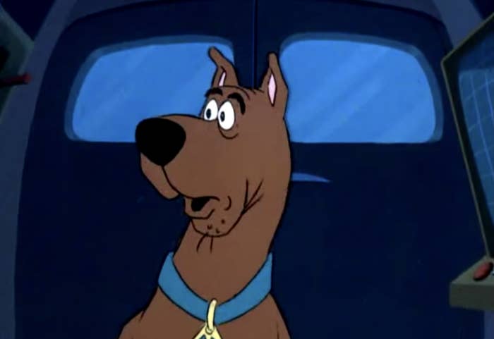 Scooby looking surprised