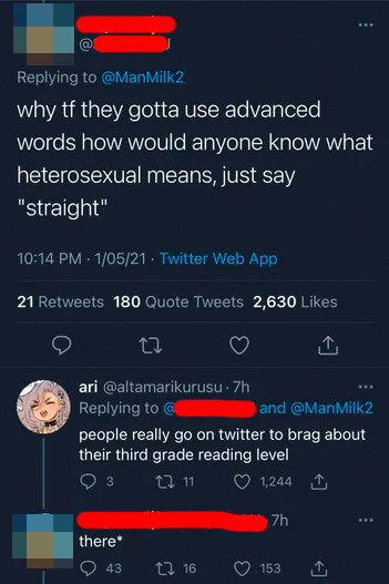 Person complains about big words like &quot;heterosexual&quot; instead of &quot;straight,&quot; a person responds with &quot;People really go on Twitter to brag about their third grade reading level,&quot; and the original poster &quot;corrects&quot; them for writing &quot;their&quot; instead of &quot;there&quot;