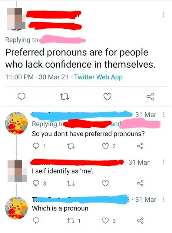 person who says they don't use pronouns besides me, which is a pronoun