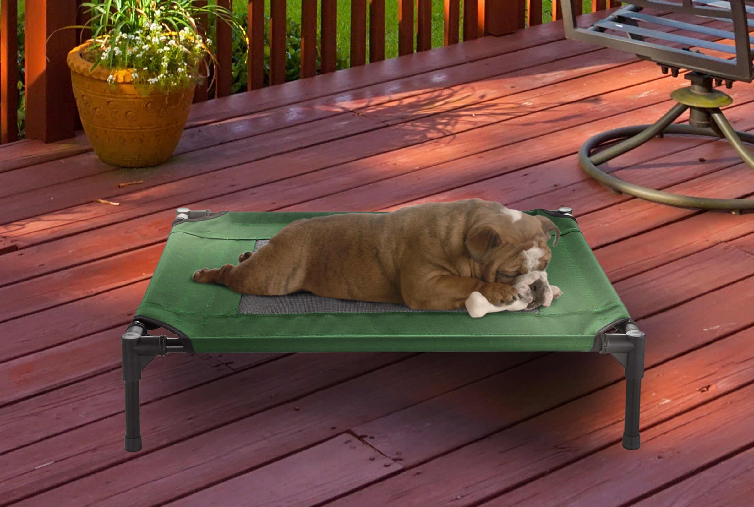 the raised pet cot sitting on a porch with a dog sleeping on it 