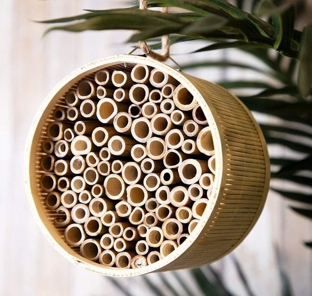 a round hanging bamboo circle filled with small tubers 