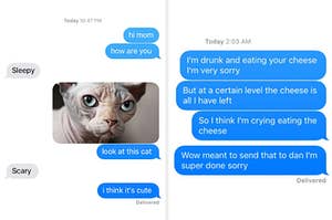A text where someone sends a photo of a furless cat to their mom and a text where someone apologizers for eating cheese and crying