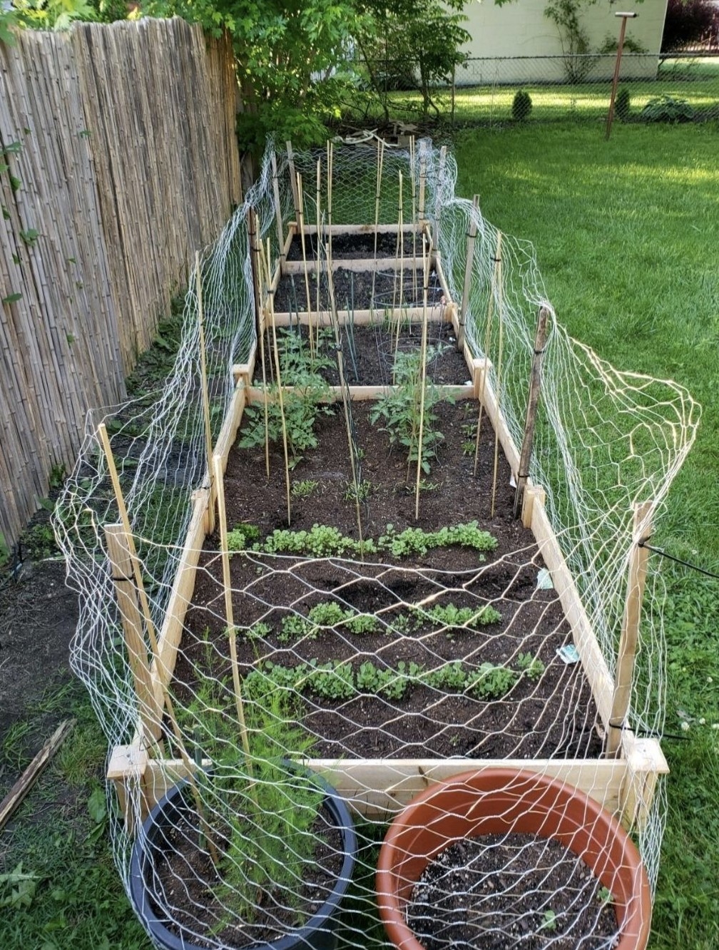a vegetable garden with chicken wire on its borders