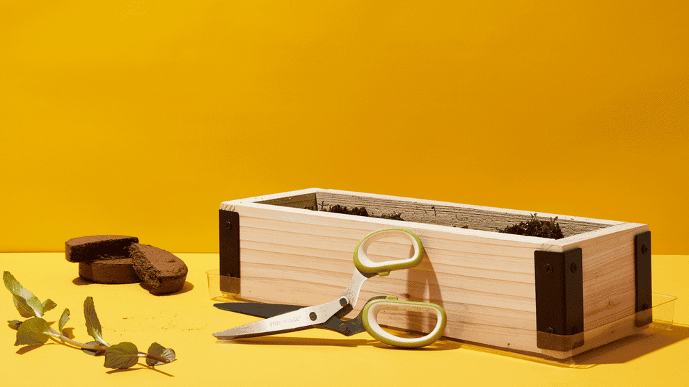 a gif of plants growing out of a wooden box