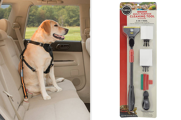 dog in car and multipurpose cleaning tool