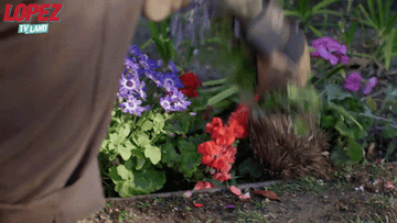 Someone stealing pretty flowers out of the ground