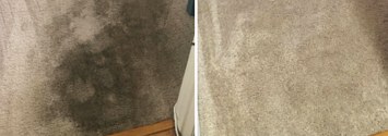 I painted my carpet black — people say it looks 'smoke damaged