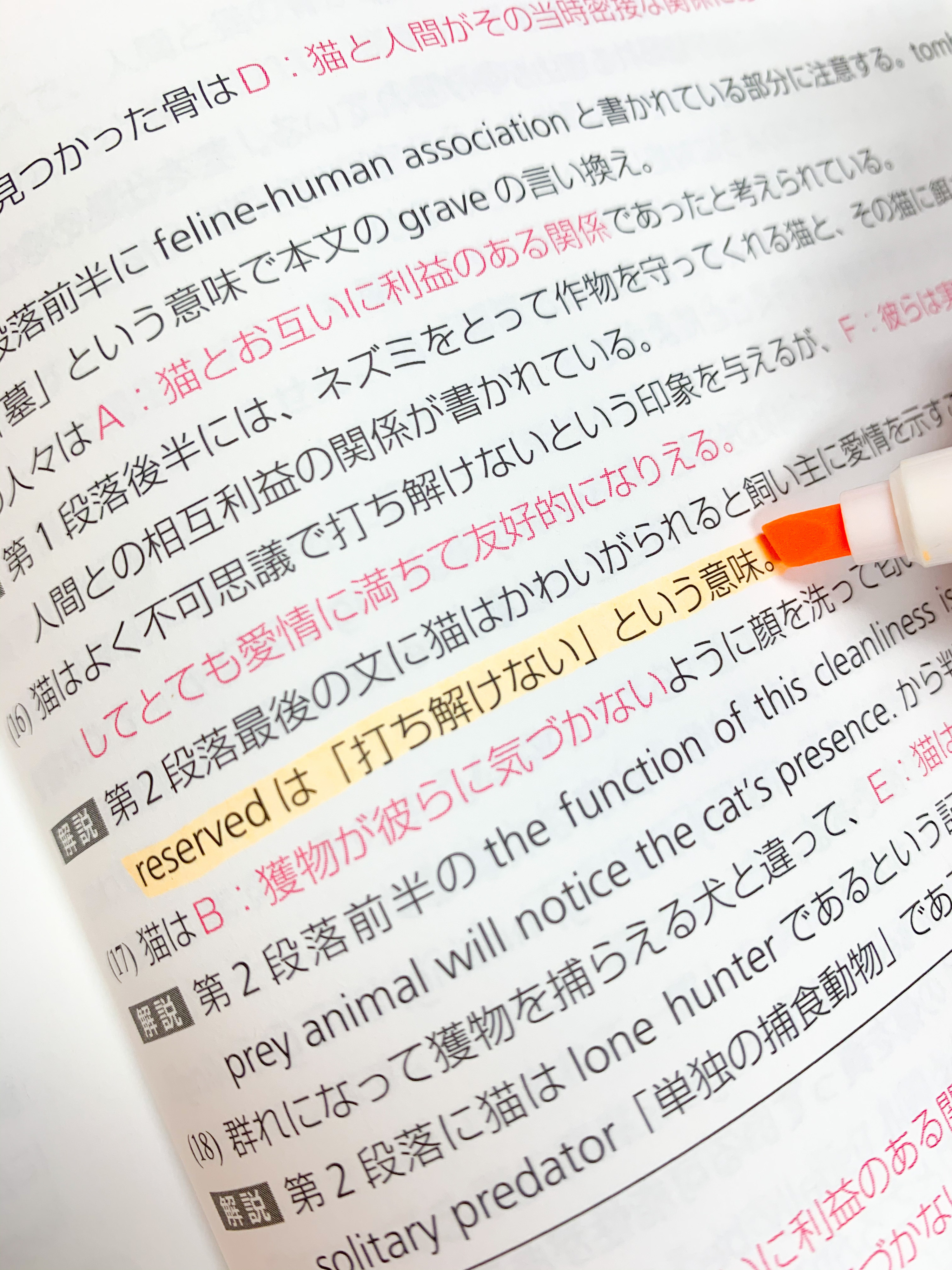 コスパ凄すぎない ダイソーの パステルマーカー 5本で110円って何事ですか