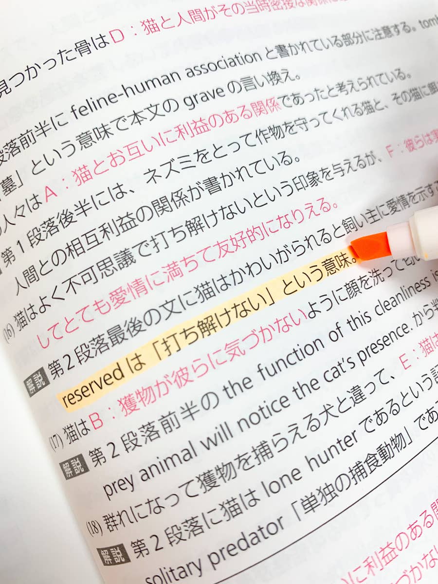 コスパ凄すぎない ダイソーの パステルマーカー 5本で110円って何事ですか