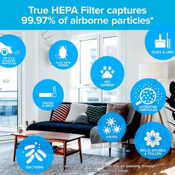 graphic showing all the things that the HEPA filter can capture