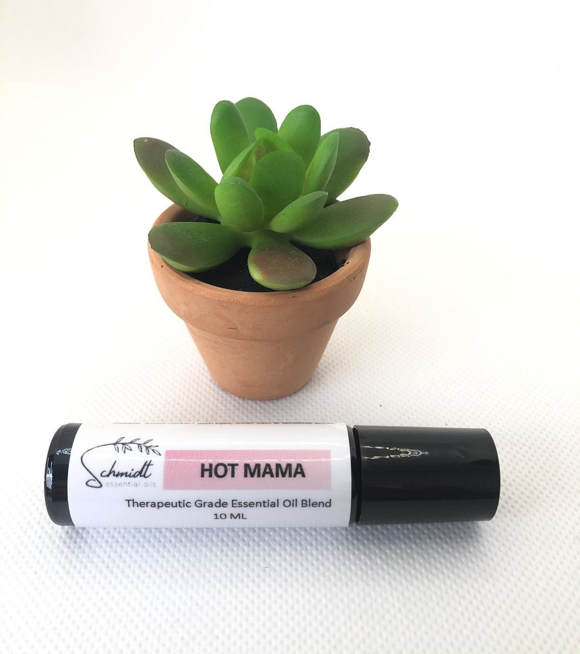 The roller of Hot Mama essential oil blend next to a succulent plant