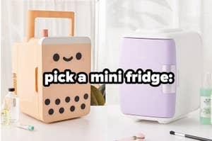 pick a mini fridge