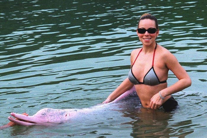 Mariah standing in water next to a dolphin