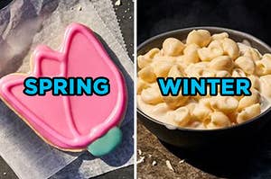 On the left, a tulip cookie labeled "spring," and on the right, a bowl of mac and cheese labeled "winter"